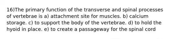 16)The primary function of the transverse and spinal processes of vertebrae is a) attachment site for muscles. b) calcium storage. c) to support the body of the vertebrae. d) to hold the hyoid in place. e) to create a passageway for the spinal cord