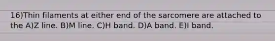 16)Thin filaments at either end of the sarcomere are attached to the A)Z line. B)M line. C)H band. D)A band. E)I band.