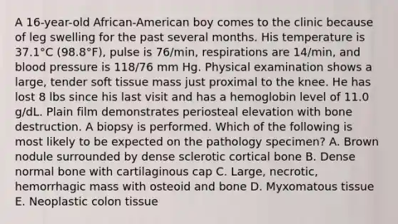 A 16-year-old African-American boy comes to the clinic because of leg swelling for the past several months. His temperature is 37.1°C (98.8°F), pulse is 76/min, respirations are 14/min, and <a href='https://www.questionai.com/knowledge/kD0HacyPBr-blood-pressure' class='anchor-knowledge'>blood pressure</a> is 118/76 mm Hg. Physical examination shows a large, tender soft tissue mass just proximal to the knee. He has lost 8 lbs since his last visit and has a hemoglobin level of 11.0 g/dL. Plain film demonstrates periosteal elevation with bone destruction. A biopsy is performed. Which of the following is most likely to be expected on the pathology specimen? A. Brown nodule surrounded by dense sclerotic cortical bone B. Dense normal bone with cartilaginous cap C. Large, necrotic, hemorrhagic mass with osteoid and bone D. Myxomatous tissue E. Neoplastic colon tissue