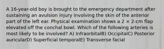 A 16-year-old boy is brought to the emergency department after sustaining an avulsion injury involving the skin of the anterior part of the left ear. Physical examination shows a 2 × 2-cm flap elevated off the conchal bowl. Which of the following arteries is most likely to be involved? A) InfraorbitalB) OccipitalC) Posterior auricularD) Superficial temporalE) Transverse facial