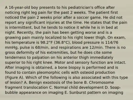 A 16-year-old boy presents to his pediatrician's office after noticing right leg pain for the past 2 weeks. The patient first noticed the pain 2 weeks prior after a soccer game. He did not report any significant injuries at the time. He states that the pain is intermittent, but he tends to notice it while he is in bed at night. Recently, the pain has been getting worse and is a gnawing pain mainly localized to his right lower thigh. On exam, his temperature is 98.2°F (36.8°C), blood pressure is 114/76 mmHg, pulse is 68/min, and respirations are 12/min. There is no gross deformity of his extremities, but he does cite some tenderness to palpation on his anterior thigh immediately superior to his right knee. Motor and sensory function are intact. After imaging is obtained, a bone biopsy is performed and is found to contain pleomorphic cells with osteoid production (Figure A). Which of the following is also associated with this type of lesion? A. Benign exostosis of the bone B. Chromosome fragment translocation C. Normal child development D. Soap-bubble appearance on imaging E. Sunburst pattern on imaging