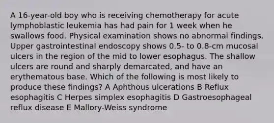 A 16-year-old boy who is receiving chemotherapy for acute lymphoblastic leukemia has had pain for 1 week when he swallows food. Physical examination shows no abnormal findings. Upper gastrointestinal endoscopy shows 0.5- to 0.8-cm mucosal ulcers in the region of the mid to lower esophagus. The shallow ulcers are round and sharply demarcated, and have an erythematous base. Which of the following is most likely to produce these findings? A Aphthous ulcerations B Reflux esophagitis C Herpes simplex esophagitis D Gastroesophageal reflux disease E Mallory-Weiss syndrome