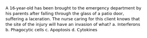 A 16-year-old has been brought to the emergency department by his parents after falling through the glass of a patio door, suffering a laceration. The nurse caring for this client knows that the site of the injury will have an invasion of what? a. Interferons b. Phagocytic cells c. Apoptosis d. Cytokines