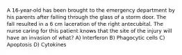 A 16-year-old has been brought to the emergency department by his parents after falling through the glass of a storm door. The fall resulted in a 6 cm laceration of the right antecubital. The nurse caring for this patient knows that the site of the injury will have an invasion of what? A) Interferon B) Phagocytic cells C) Apoptosis D) Cytokines