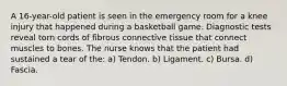 A 16-year-old patient is seen in the emergency room for a knee injury that happened during a basketball game. Diagnostic tests reveal torn cords of fibrous connective tissue that connect muscles to bones. The nurse knows that the patient had sustained a tear of the: a) Tendon. b) Ligament. c) Bursa. d) Fascia.