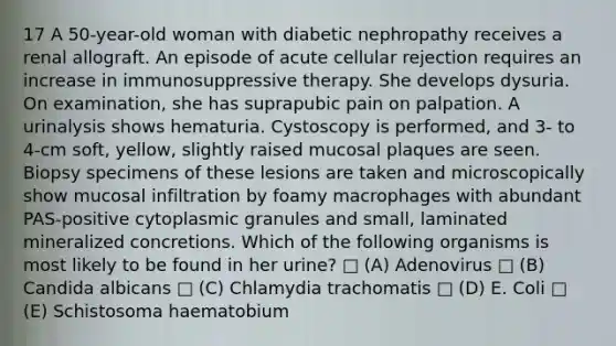 17 A 50-year-old woman with diabetic nephropathy receives a renal allograft. An episode of acute cellular rejection requires an increase in immunosuppressive therapy. She develops dysuria. On examination, she has suprapubic pain on palpation. A urinalysis shows hematuria. Cystoscopy is performed, and 3- to 4-cm soft, yellow, slightly raised mucosal plaques are seen. Biopsy specimens of these lesions are taken and microscopically show mucosal infiltration by foamy macrophages with abundant PAS-positive cytoplasmic granules and small, laminated mineralized concretions. Which of the following organisms is most likely to be found in her urine? □ (A) Adenovirus □ (B) Candida albicans □ (C) Chlamydia trachomatis □ (D) E. Coli □ (E) Schistosoma haematobium