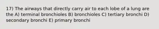 17) The airways that directly carry air to each lobe of a lung are the A) terminal bronchioles B) bronchioles C) tertiary bronchi D) secondary bronchi E) primary bronchi