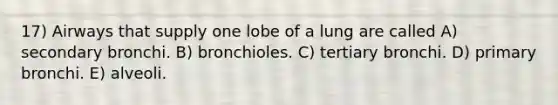 17) Airways that supply one lobe of a lung are called A) secondary bronchi. B) bronchioles. C) tertiary bronchi. D) primary bronchi. E) alveoli.