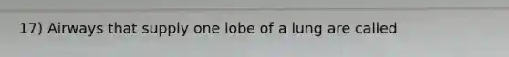 17) Airways that supply one lobe of a lung are called