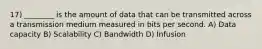 17) ________ is the amount of data that can be transmitted across a transmission medium measured in bits per second. A) Data capacity B) Scalability C) Bandwidth D) Infusion