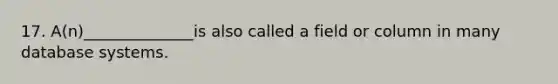 17. A(n)______________is also called a field or column in many database systems.