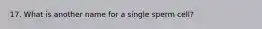 17. What is another name for a single sperm cell?