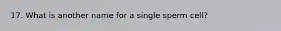 17. What is another name for a single sperm cell?