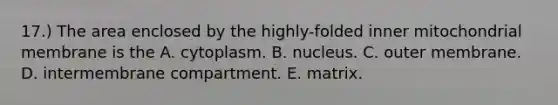 17.) The area enclosed by the highly-folded inner mitochondrial membrane is the A. cytoplasm. B. nucleus. C. outer membrane. D. intermembrane compartment. E. matrix.