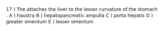 17 ) The attaches the liver to the lesser curvature of the stomach . A ) haustra B ) hepatopancreatic ampulla C ) porta hepatis D ) greater omentum E ) lesser omentum