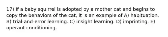 17) If a baby squirrel is adopted by a mother cat and begins to copy the behaviors of the cat, it is an example of A) habituation. B) trial-and-error learning. C) insight learning. D) imprinting. E) <a href='https://www.questionai.com/knowledge/kcaiZj2J12-operant-conditioning' class='anchor-knowledge'>operant conditioning</a>.