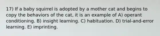 17) If a baby squirrel is adopted by a mother cat and begins to copy the behaviors of the cat, it is an example of A) operant conditioning. B) insight learning. C) habituation. D) trial-and-error learning. E) imprinting.