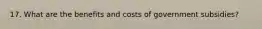 17. What are the benefits and costs of government subsidies?