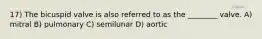 17) The bicuspid valve is also referred to as the ________ valve. A) mitral B) pulmonary C) semilunar D) aortic