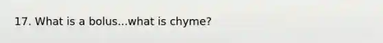 17. What is a bolus...what is chyme?