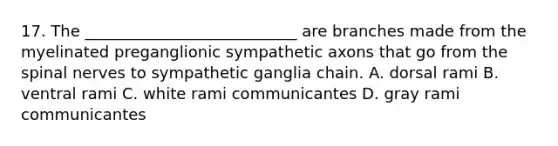 17. The ___________________________ are branches made from the myelinated preganglionic sympathetic axons that go from the <a href='https://www.questionai.com/knowledge/kyBL1dWgAx-spinal-nerves' class='anchor-knowledge'>spinal nerves</a> to sympathetic ganglia chain. A. dorsal rami B. ventral rami C. white rami communicantes D. gray rami communicantes