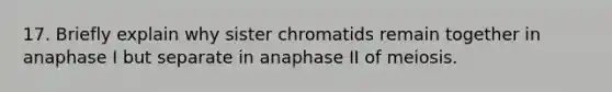 17. Briefly explain why sister chromatids remain together in anaphase I but separate in anaphase II of meiosis.