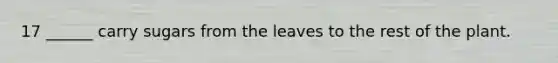 17 ______ carry sugars from the leaves to the rest of the plant.