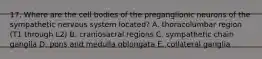 17. Where are the cell bodies of the preganglionic neurons of the sympathetic nervous system located? A. thoracolumbar region (T1 through L2) B. craniosacral regions C. sympathetic chain ganglia D. pons and medulla oblongata E. collateral ganglia