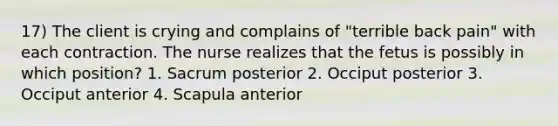 17) The client is crying and complains of "terrible back pain" with each contraction. The nurse realizes that the fetus is possibly in which position? 1. Sacrum posterior 2. Occiput posterior 3. Occiput anterior 4. Scapula anterior