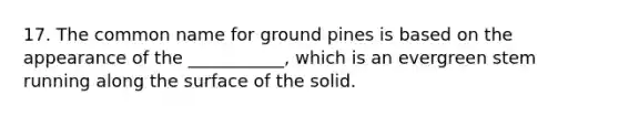 17. The common name for ground pines is based on the appearance of the ___________, which is an evergreen stem running along the surface of the solid.