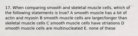 17. When comparing smooth and skeletal muscle cells, which of the following statements is true? A smooth muscle has a lot of actin and myosin B smooth muscle cells are larger/longer than skeletal muscle cells C smooth muscle cells have striations D smooth muscle cells are multinucleated E. none of these