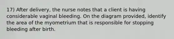 17) After delivery, the nurse notes that a client is having considerable vaginal bleeding. On the diagram provided, identify the area of the myometrium that is responsible for stopping bleeding after birth.