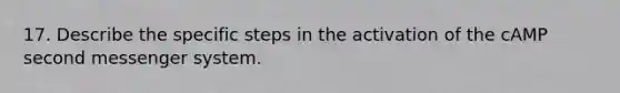 17. Describe the specific steps in the activation of the cAMP second messenger system.