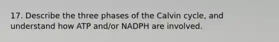 17. Describe the three phases of the Calvin cycle, and understand how ATP and/or NADPH are involved.