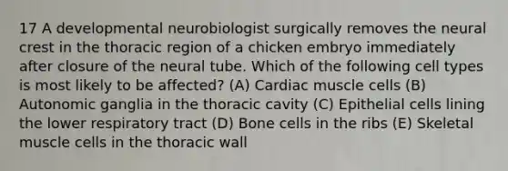 17 A developmental neurobiologist surgically removes the neural crest in the thoracic region of a chicken embryo immediately after closure of the neural tube. Which of the following cell types is most likely to be affected? (A) Cardiac muscle cells (B) Autonomic ganglia in the thoracic cavity (C) Epithelial cells lining the lower respiratory tract (D) Bone cells in the ribs (E) Skeletal muscle cells in the thoracic wall