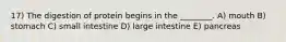 17) The digestion of protein begins in the ________. A) mouth B) stomach C) small intestine D) large intestine E) pancreas