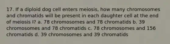 17. If a diploid dog cell enters meiosis, how many chromosomes and chromatids will be present in each daughter cell at the end of meiosis I? a. 78 chromosomes and 78 chromatids b. 39 chromosomes and 78 chromatids c. 78 chromosomes and 156 chromatids d. 39 chromosomes and 39 chromatids