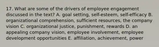 17. What are some of the drivers of employee engagement discussed in the text? A. goal setting, self-esteem, self-efficacy B. organizational comprehension, sufficient resources, the company vision C. organizational justice, punishment, rewards D. an appealing company vision, employee involvement, employee development opportunities E. affiliation, achievement, power