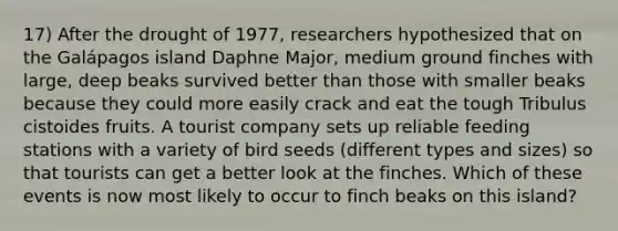 17) After the drought of 1977, researchers hypothesized that on the Galápagos island Daphne Major, medium ground finches with large, deep beaks survived better than those with smaller beaks because they could more easily crack and eat the tough Tribulus cistoides fruits. A tourist company sets up reliable feeding stations with a variety of bird seeds (different types and sizes) so that tourists can get a better look at the finches. Which of these events is now most likely to occur to finch beaks on this island?