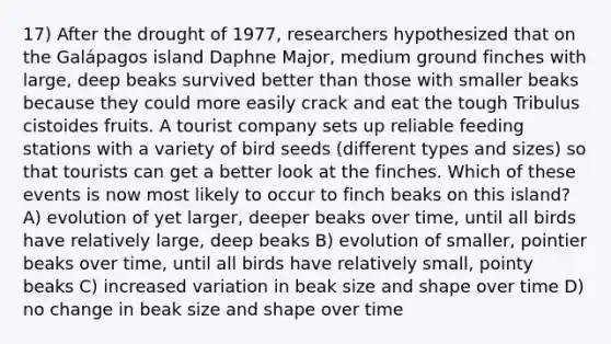 17) After the drought of 1977, researchers hypothesized that on the Galápagos island Daphne Major, medium ground finches with large, deep beaks survived better than those with smaller beaks because they could more easily crack and eat the tough Tribulus cistoides fruits. A tourist company sets up reliable feeding stations with a variety of bird seeds (different types and sizes) so that tourists can get a better look at the finches. Which of these events is now most likely to occur to finch beaks on this island? A) evolution of yet larger, deeper beaks over time, until all birds have relatively large, deep beaks B) evolution of smaller, pointier beaks over time, until all birds have relatively small, pointy beaks C) increased variation in beak size and shape over time D) no change in beak size and shape over time