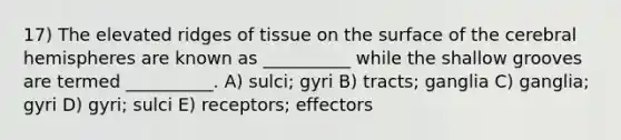 17) The elevated ridges of tissue on the surface of the cerebral hemispheres are known as __________ while the shallow grooves are termed __________. A) sulci; gyri B) tracts; ganglia C) ganglia; gyri D) gyri; sulci E) receptors; effectors