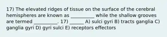 17) The elevated ridges of tissue on the surface of the cerebral hemispheres are known as __________ while the shallow grooves are termed __________. 17) ______ A) sulci gyri B) tracts ganglia C) ganglia gyri D) gyri sulci E) receptors effectors