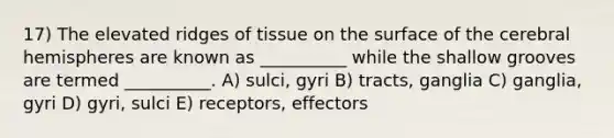 17) The elevated ridges of tissue on the surface of the cerebral hemispheres are known as __________ while the shallow grooves are termed __________. A) sulci, gyri B) tracts, ganglia C) ganglia, gyri D) gyri, sulci E) receptors, effectors