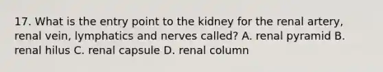 17. What is the entry point to the kidney for the renal artery, renal vein, lymphatics and nerves called? A. renal pyramid B. renal hilus C. renal capsule D. renal column