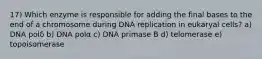 17) Which enzyme is responsible for adding the final bases to the end of a chromosome during DNA replication in eukaryal cells? a) DNA polδ b) DNA polα c) DNA primase B d) telomerase e) topoisomerase