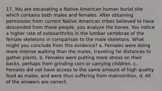 17. You are excavating a Native American human burial site which contains both males and females. After obtaining permission from current Native American tribes believed to have descended from these people, you analyze the bones. You notice a higher rate of osteoarthritis in the lumbar vertebrae of the female skeletons in comparison to the male skeletons. What might you conclude from this evidence? a. Females were doing more intense walking than the males, traveling far distances to gather plants. b. Females were putting more stress on their backs, perhaps from grinding corn or carrying children. c. Females did not have access to the same amount of high quality food as males, and were thus suffering from malnutrition. d. All of the answers are correct.