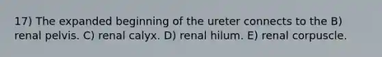 17) The expanded beginning of the ureter connects to the B) renal pelvis. C) renal calyx. D) renal hilum. E) renal corpuscle.