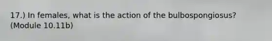 17.) In females, what is the action of the bulbospongiosus? (Module 10.11b)