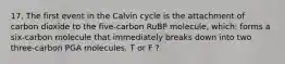 17. The first event in the Calvin cycle is the attachment of carbon dioxide to the five-carbon RuBP molecule, which: forms a six-carbon molecule that immediately breaks down into two three-carbon PGA molecules. T or F ?