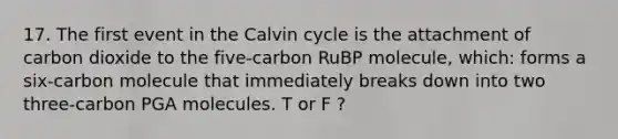 17. The first event in the Calvin cycle is the attachment of carbon dioxide to the five-carbon RuBP molecule, which: forms a six-carbon molecule that immediately breaks down into two three-carbon PGA molecules. T or F ?